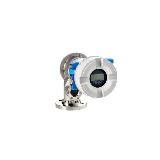 德國(guó)E+H – NMS81伺服液位計(jì)